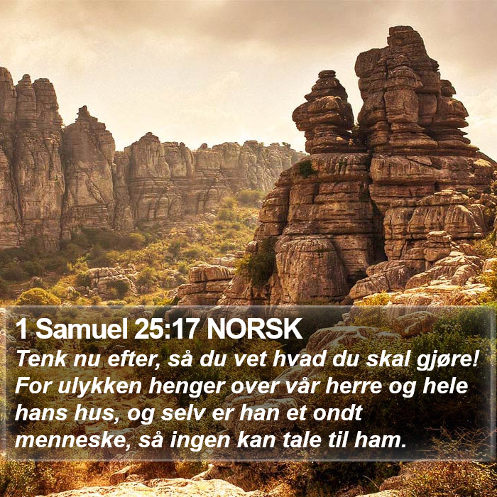 1 Samuel 25:17 NORSK Bible Study