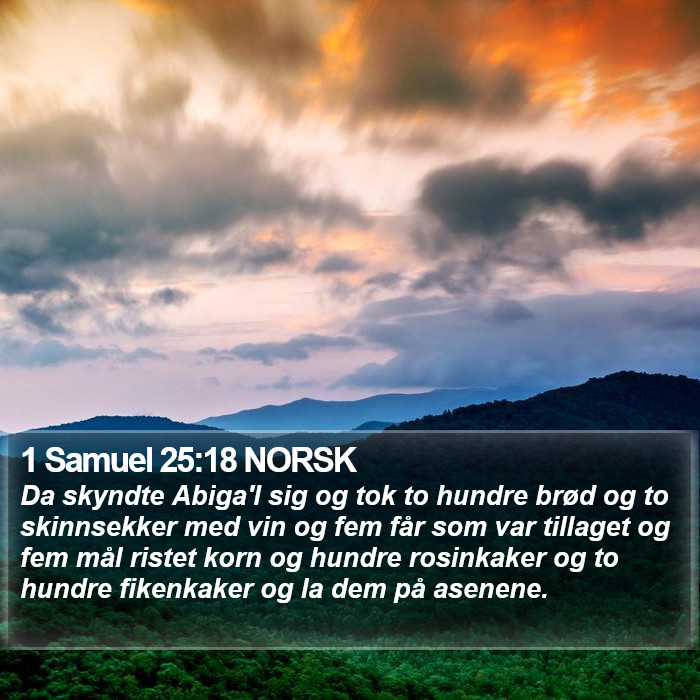 1 Samuel 25:18 NORSK Bible Study