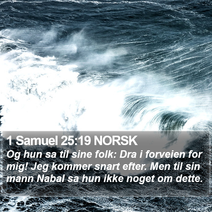 1 Samuel 25:19 NORSK Bible Study