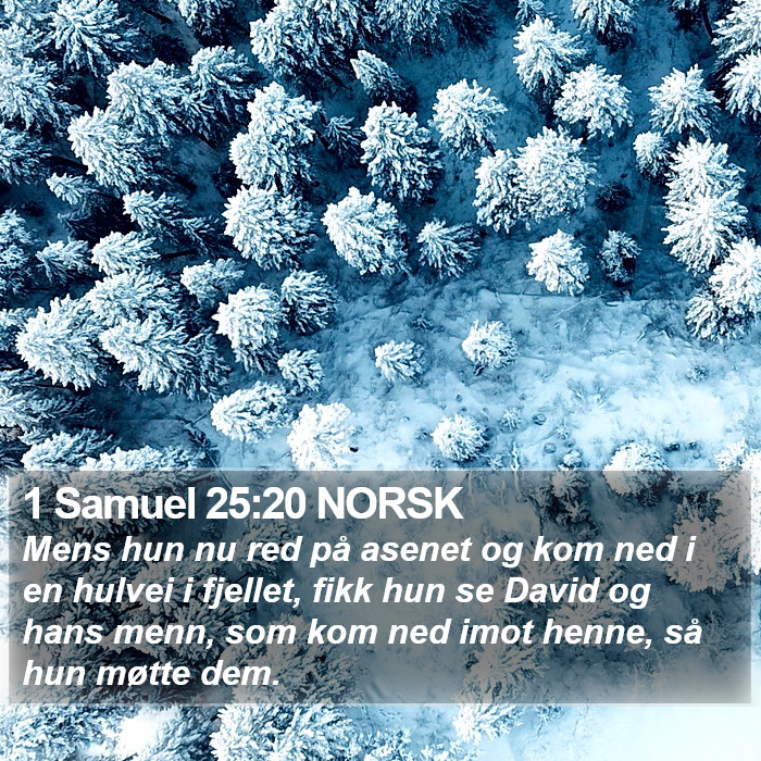 1 Samuel 25:20 NORSK Bible Study