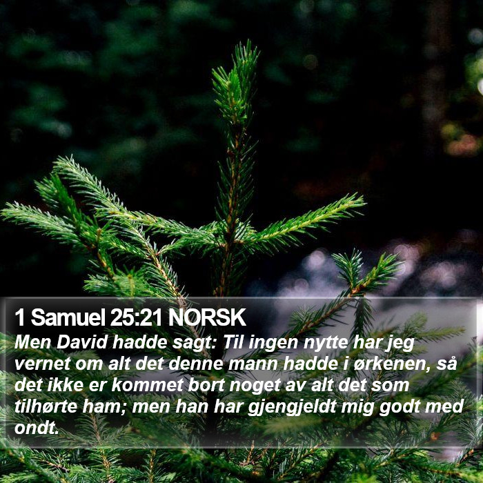 1 Samuel 25:21 NORSK Bible Study