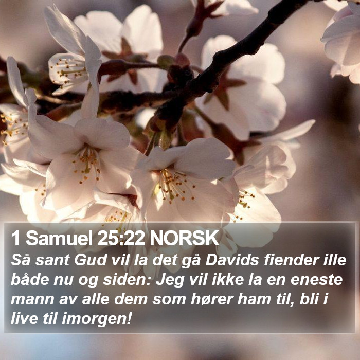 1 Samuel 25:22 NORSK Bible Study