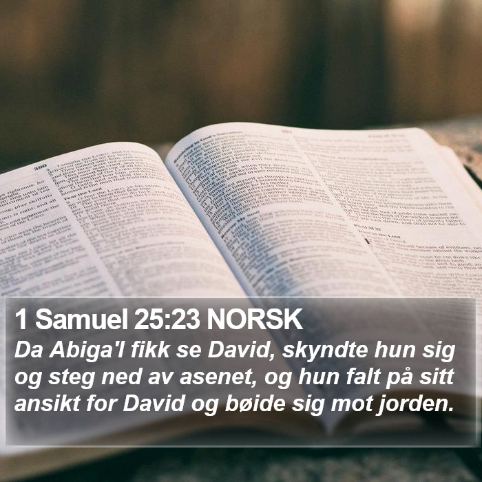 1 Samuel 25:23 NORSK Bible Study