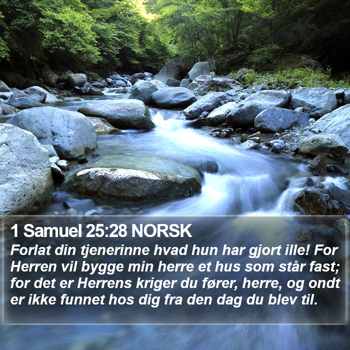 1 Samuel 25:28 NORSK Bible Study