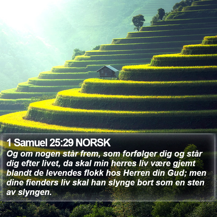 1 Samuel 25:29 NORSK Bible Study