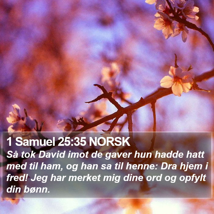 1 Samuel 25:35 NORSK Bible Study