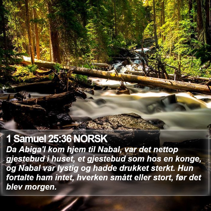 1 Samuel 25:36 NORSK Bible Study