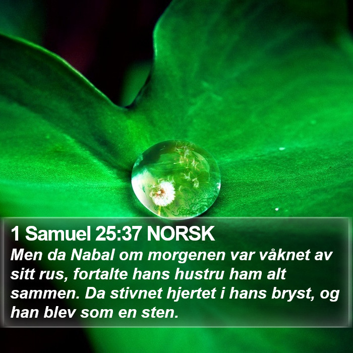 1 Samuel 25:37 NORSK Bible Study