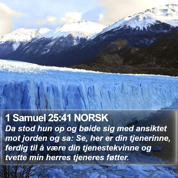 1 Samuel 25:41 NORSK Bible Study