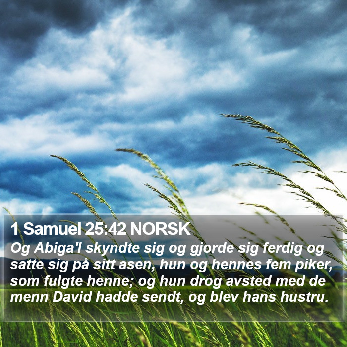 1 Samuel 25:42 NORSK Bible Study