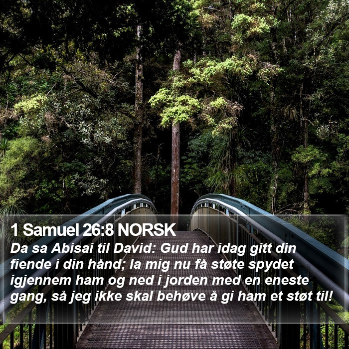 1 Samuel 26:8 NORSK Bible Study