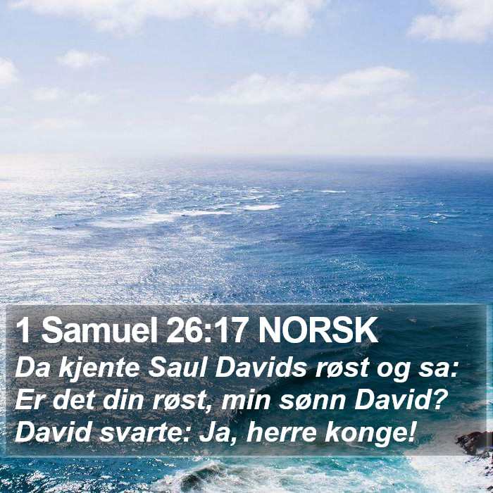 1 Samuel 26:17 NORSK Bible Study