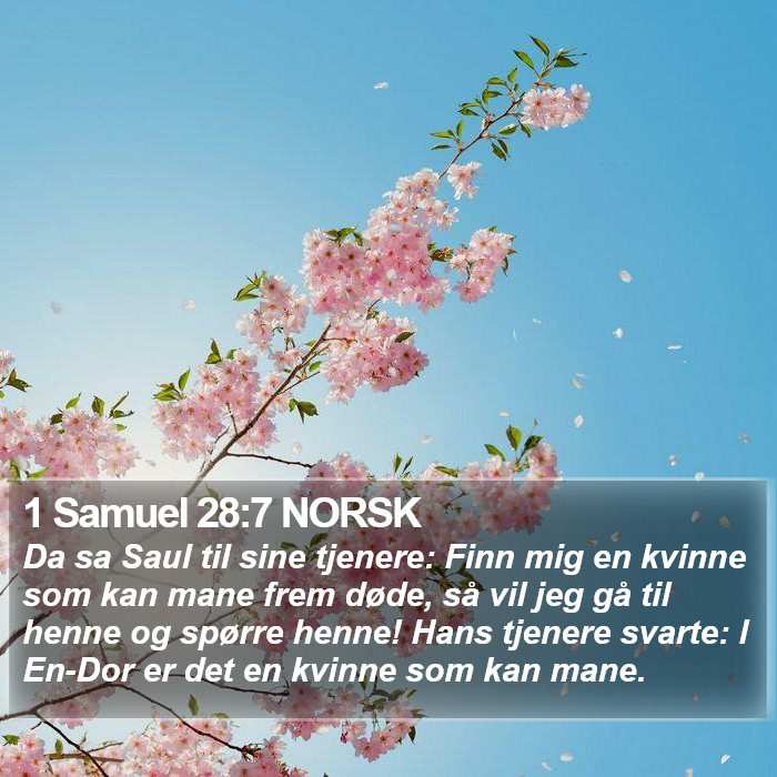 1 Samuel 28:7 NORSK Bible Study