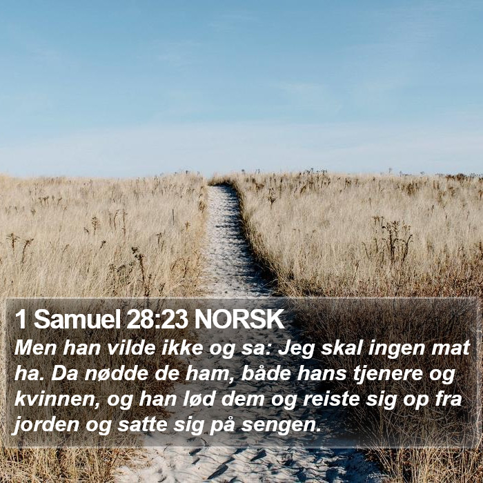 1 Samuel 28:23 NORSK Bible Study