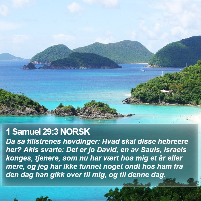 1 Samuel 29:3 NORSK Bible Study