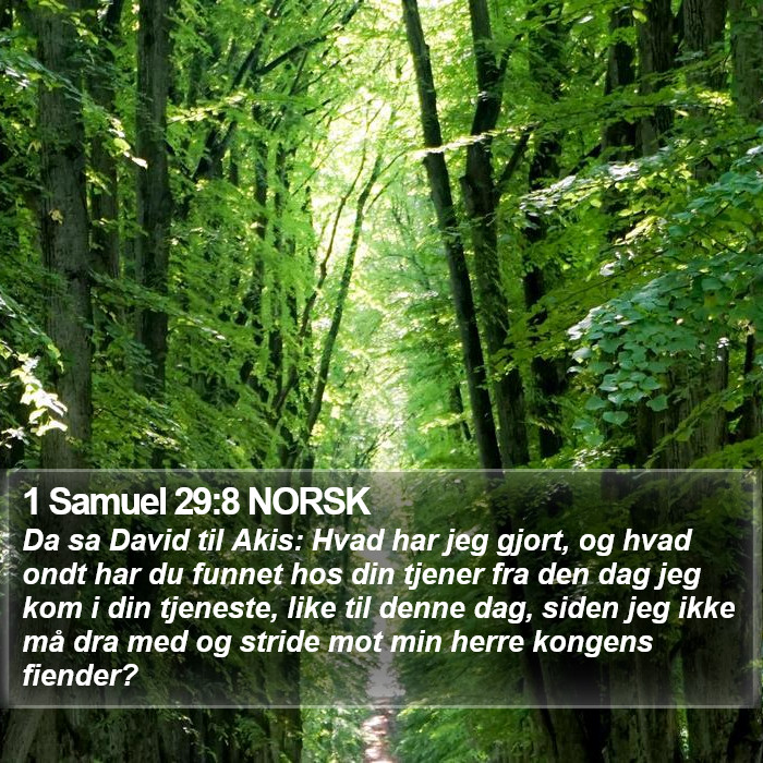 1 Samuel 29:8 NORSK Bible Study