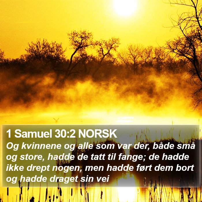 1 Samuel 30:2 NORSK Bible Study