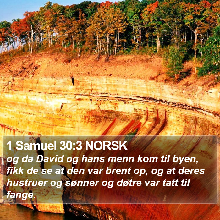 1 Samuel 30:3 NORSK Bible Study