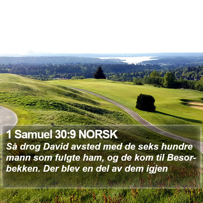 1 Samuel 30:9 NORSK Bible Study