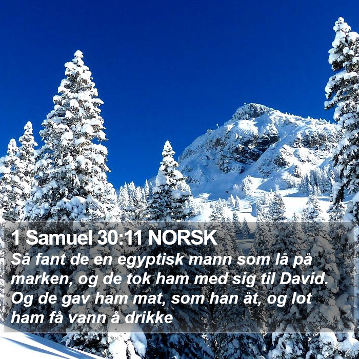 1 Samuel 30:11 NORSK Bible Study