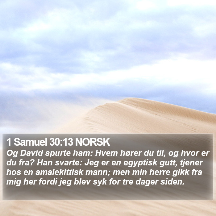 1 Samuel 30:13 NORSK Bible Study