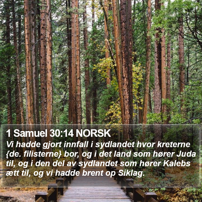 1 Samuel 30:14 NORSK Bible Study