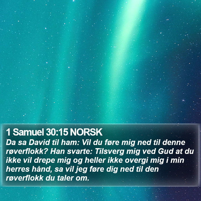 1 Samuel 30:15 NORSK Bible Study