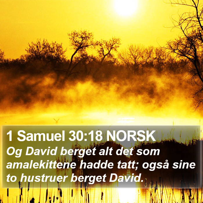 1 Samuel 30:18 NORSK Bible Study