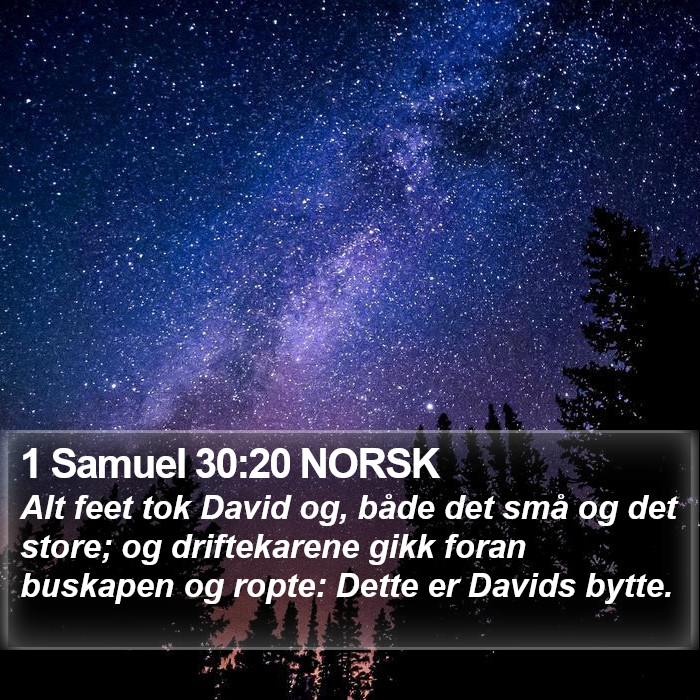 1 Samuel 30:20 NORSK Bible Study