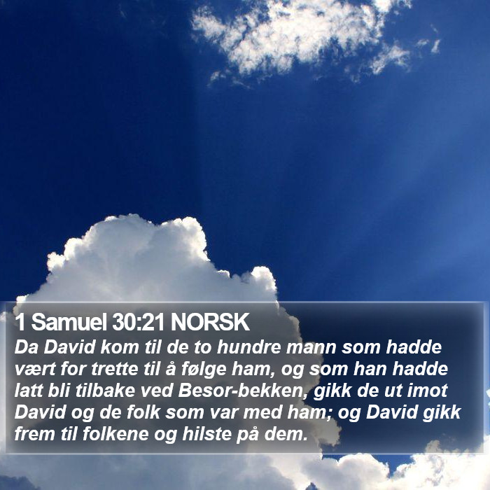 1 Samuel 30:21 NORSK Bible Study