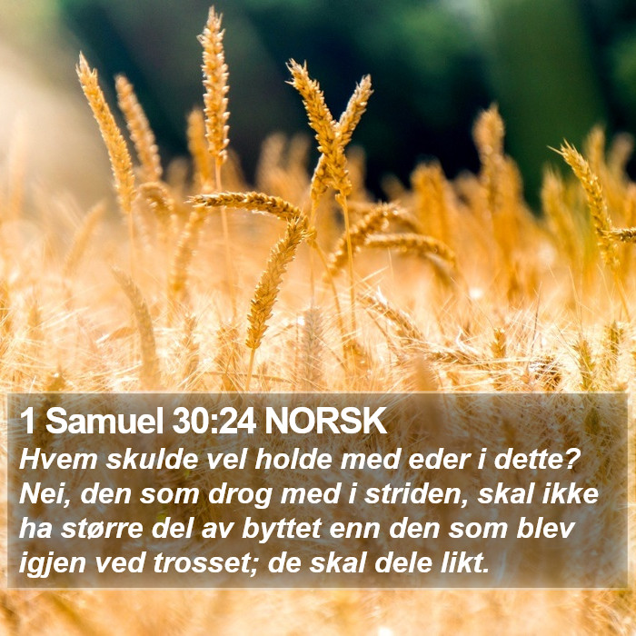 1 Samuel 30:24 NORSK Bible Study