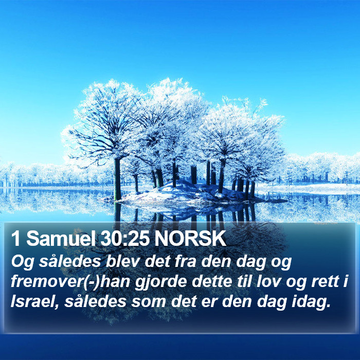 1 Samuel 30:25 NORSK Bible Study