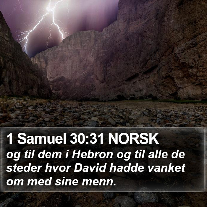 1 Samuel 30:31 NORSK Bible Study