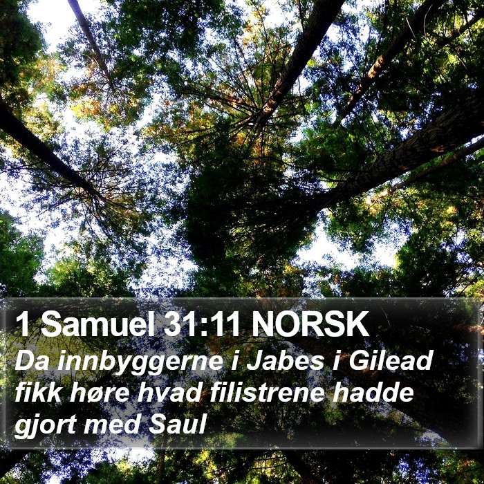 1 Samuel 31:11 NORSK Bible Study