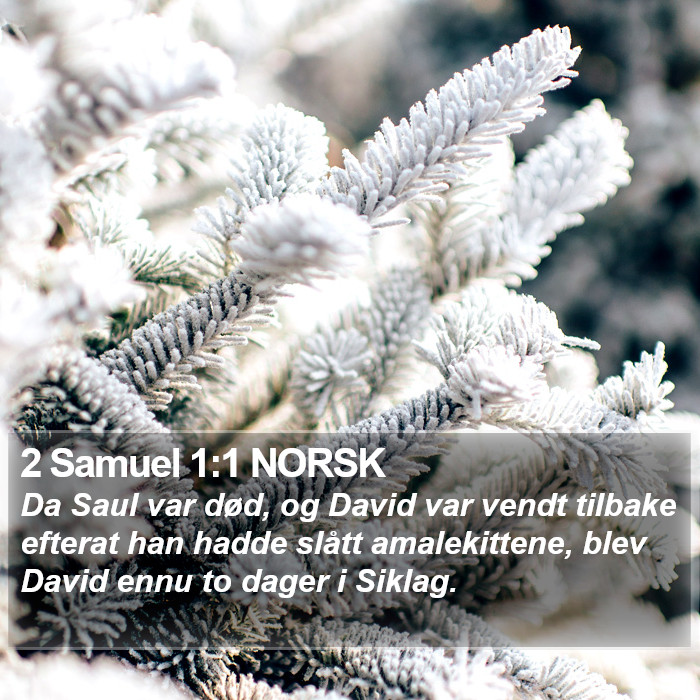 2 Samuel 1:1 NORSK Bible Study