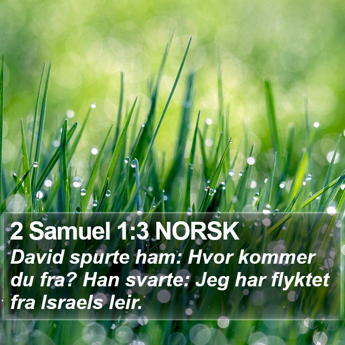 2 Samuel 1:3 NORSK Bible Study