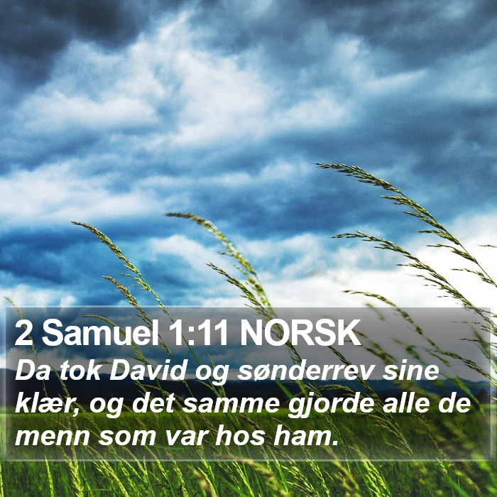 2 Samuel 1:11 NORSK Bible Study