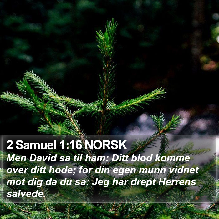 2 Samuel 1:16 NORSK Bible Study