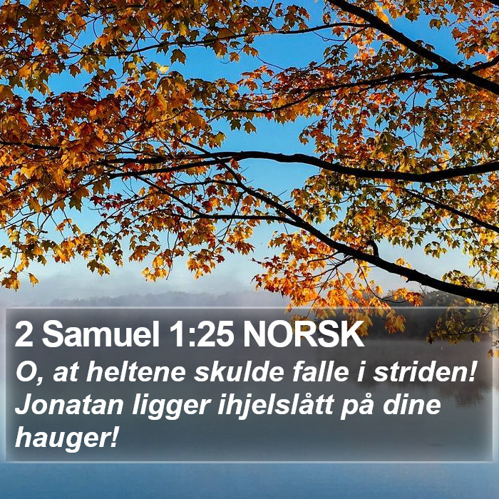 2 Samuel 1:25 NORSK Bible Study