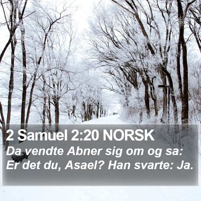 2 Samuel 2:20 NORSK Bible Study