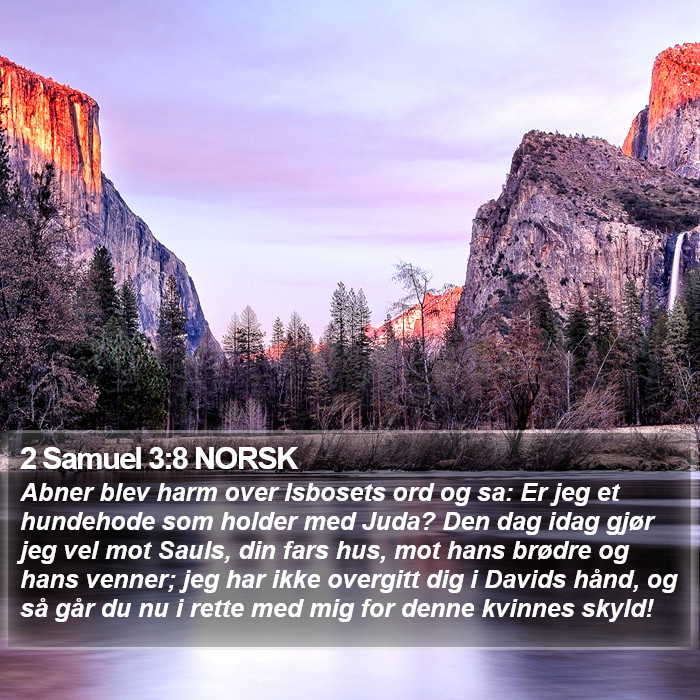 2 Samuel 3:8 NORSK Bible Study