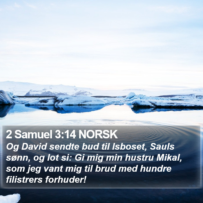 2 Samuel 3:14 NORSK Bible Study