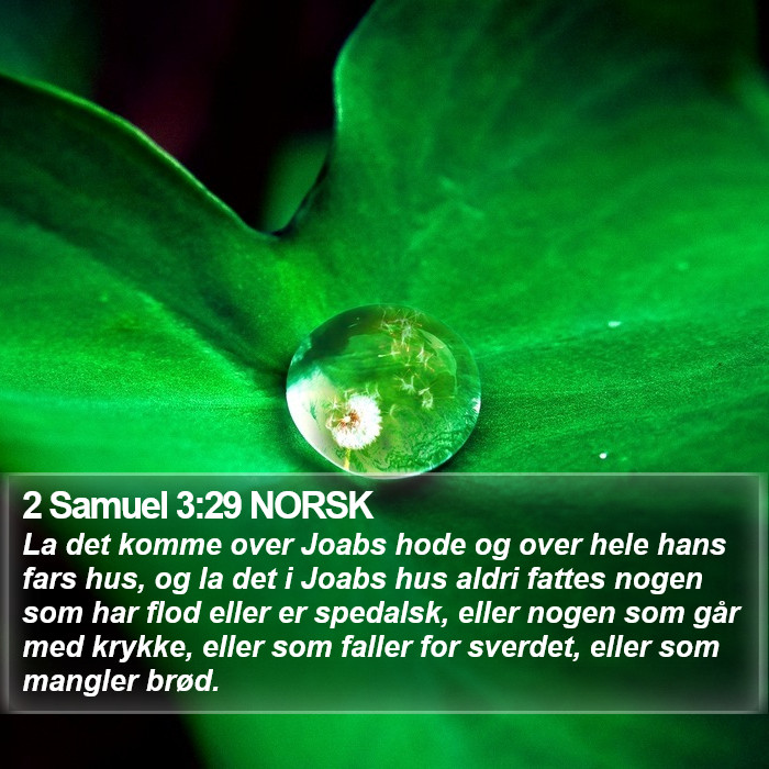 2 Samuel 3:29 NORSK Bible Study