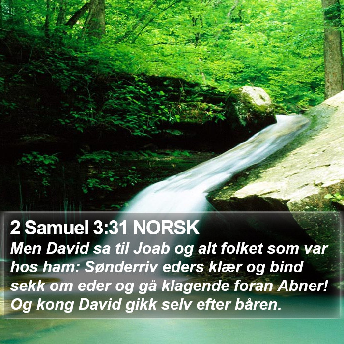 2 Samuel 3:31 NORSK Bible Study