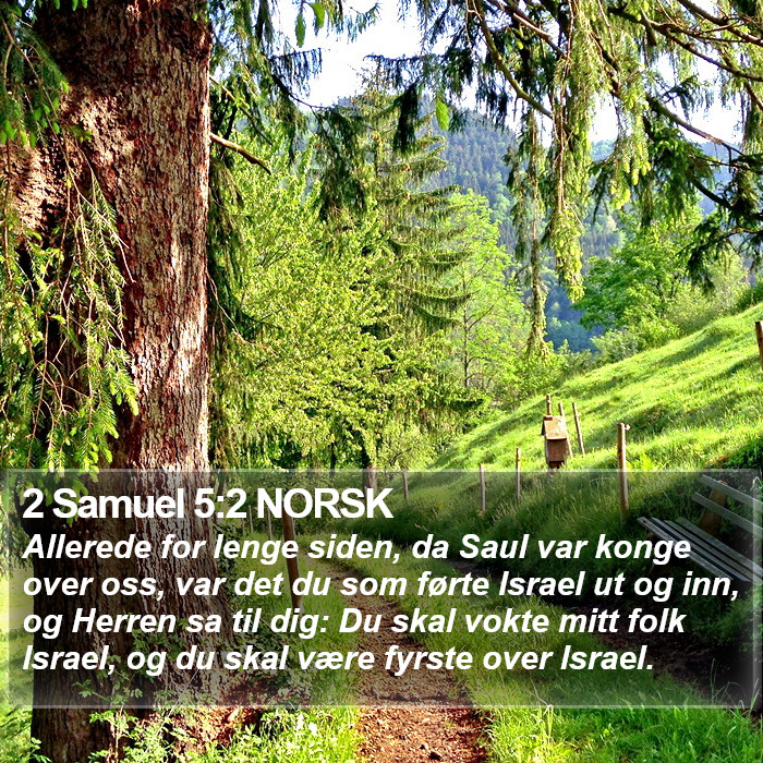 2 Samuel 5:2 NORSK Bible Study