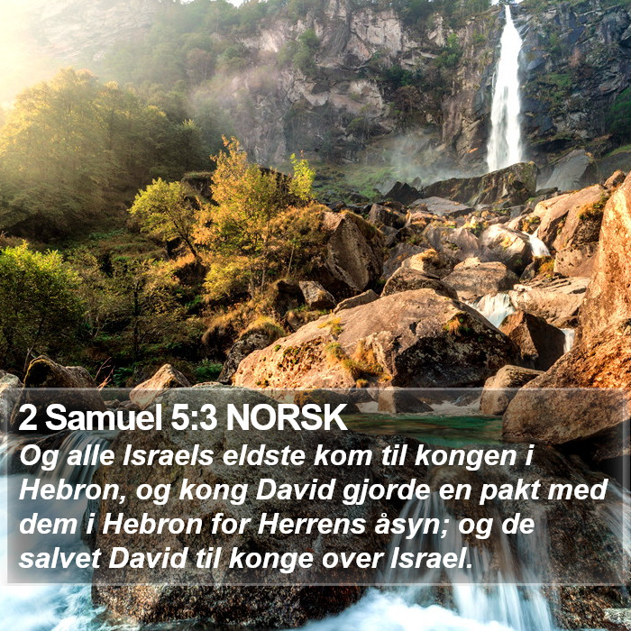 2 Samuel 5:3 NORSK Bible Study