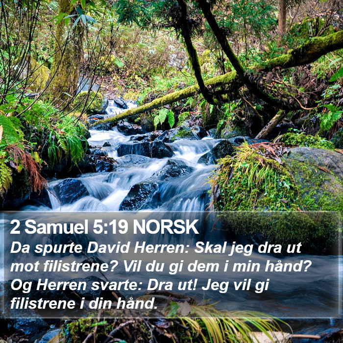 2 Samuel 5:19 NORSK Bible Study