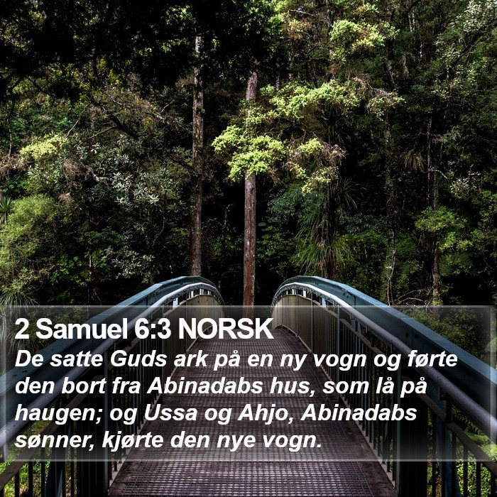 2 Samuel 6:3 NORSK Bible Study