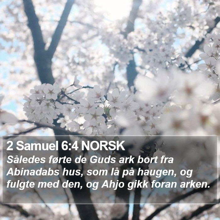 2 Samuel 6:4 NORSK Bible Study