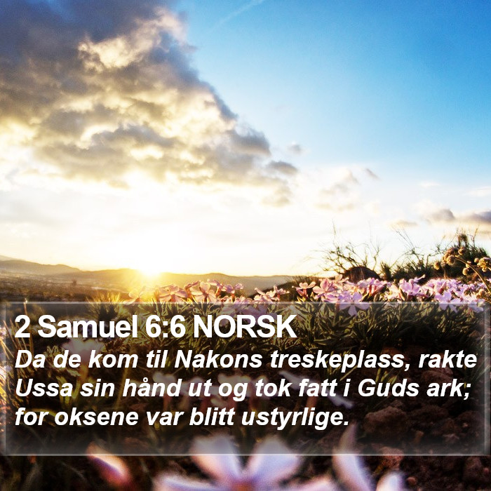 2 Samuel 6:6 NORSK Bible Study